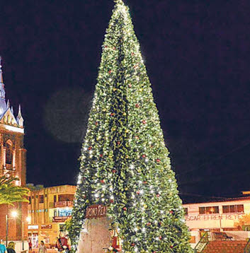 El árbol de la Navidad